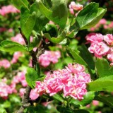 0905F 16 Stendal-Hamburg : elbe